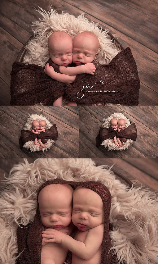 Upper Arlington Ohio Twin Baby Photographer, Columbus Ohio Twin Baby Photographer, Twin Baby Photographer Columbus Ohio, Twin Baby Photographer