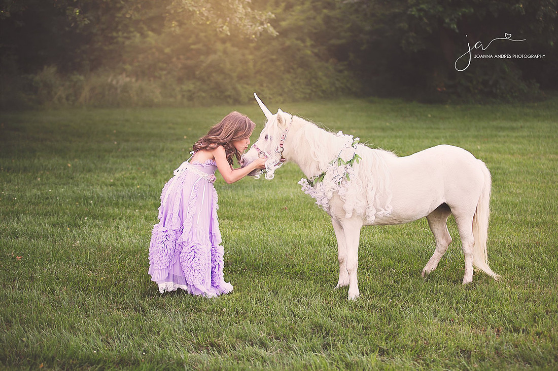 Children Photographer Columbus Ohio, Unicorn Photo Shoot Columbus Ohio