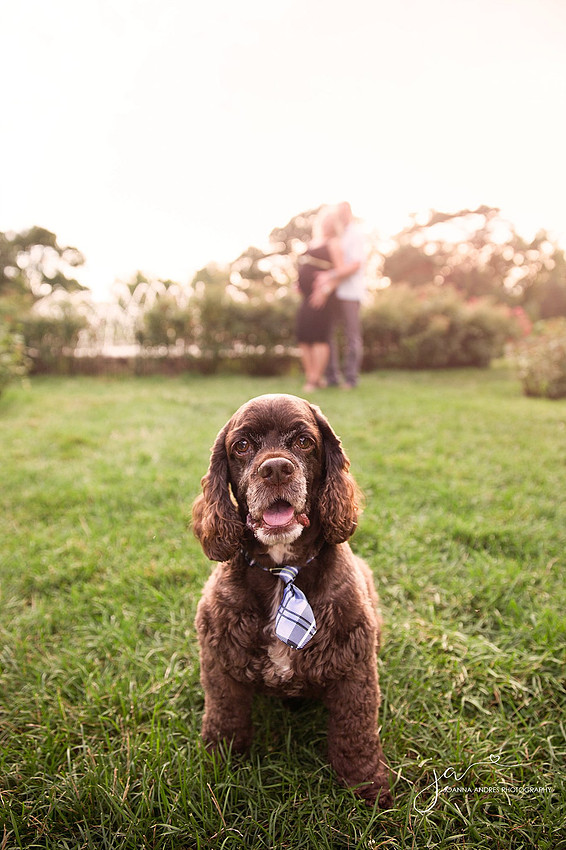 Maternity Session at The Columbus Park of Roses