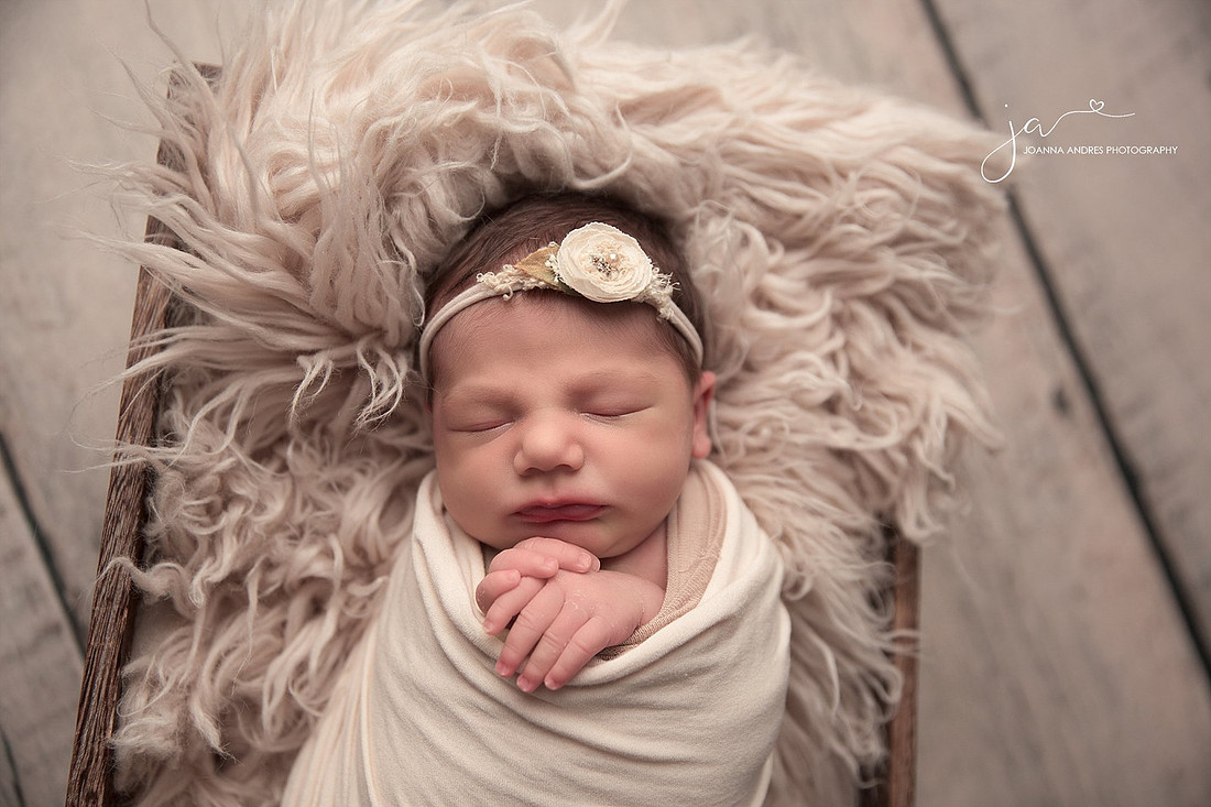 Best Baby Photographer Columbus Ohio