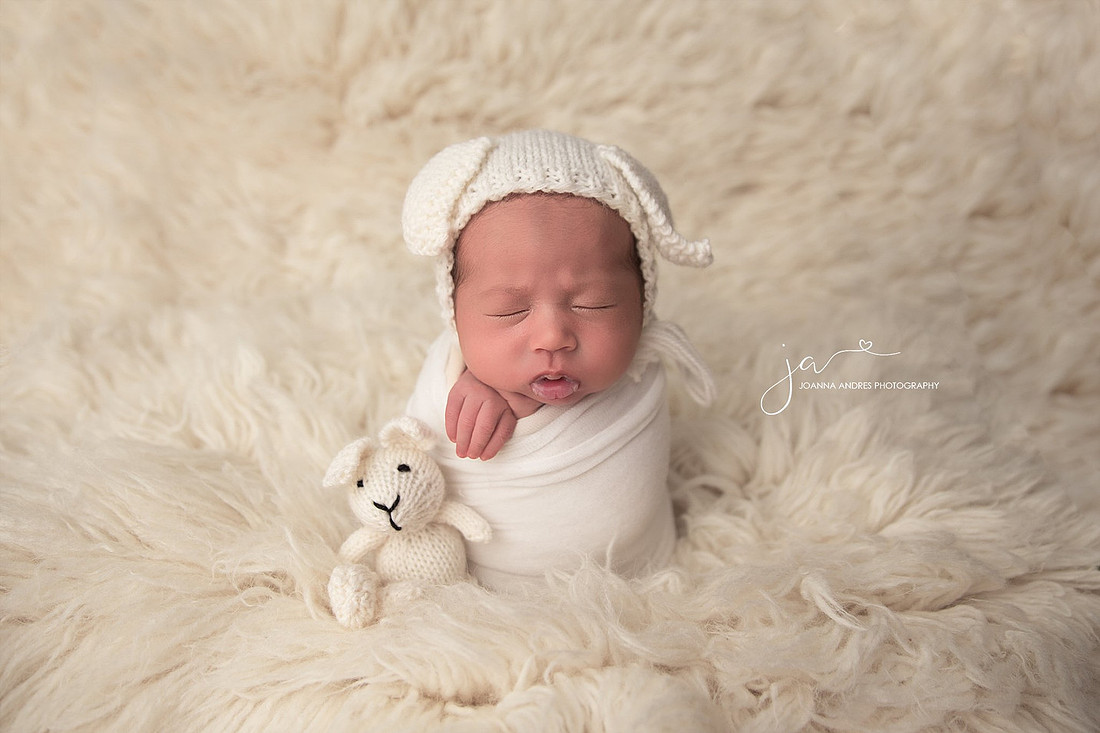"Newborn Photographer Columbus Ohio"