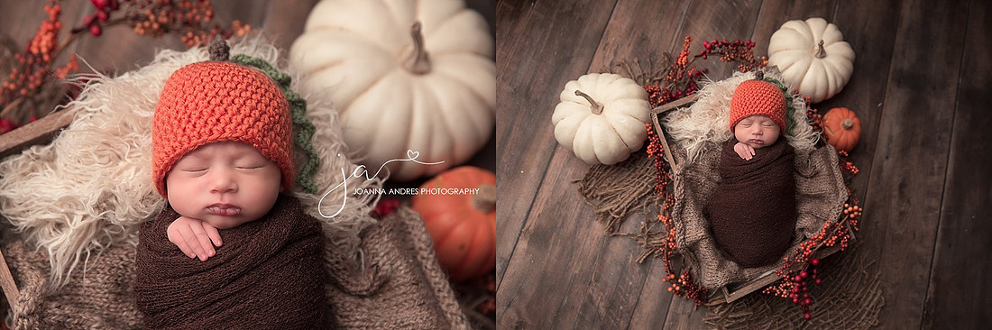 "Newborn Photographer Columbus Ohio"