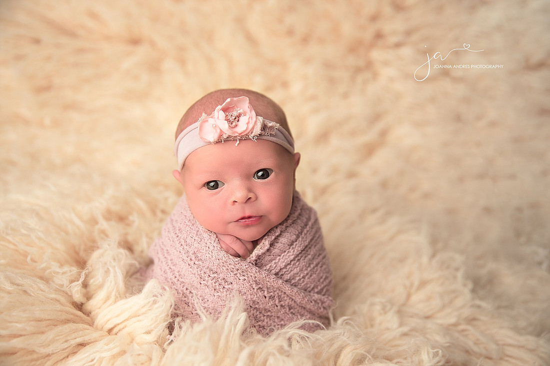 Baby Photographer Hilliard Ohio