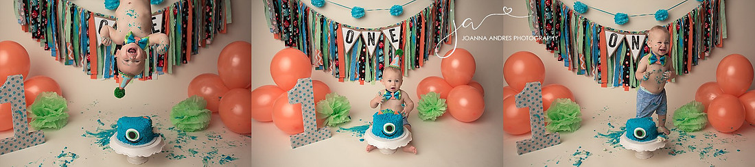 Cake Smash Photographer Columbus Ohio