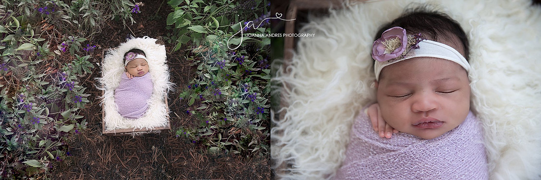 "Baby Photographer Columbus Ohio"