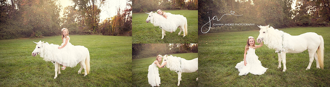 Beautiful Unicorn Photos