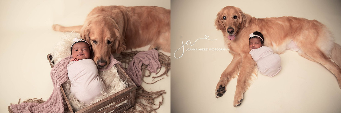 "Newborn Photographer Columbus Ohio"