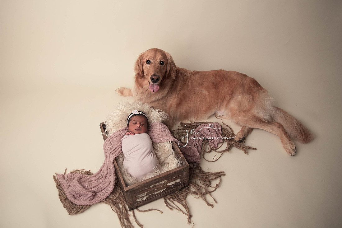 "Newborn Photographer Columbus Ohio"