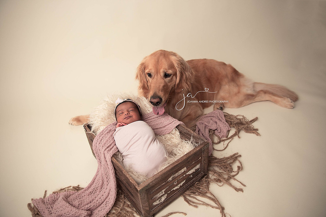"Newborn Photographer Columbus Ohio"
