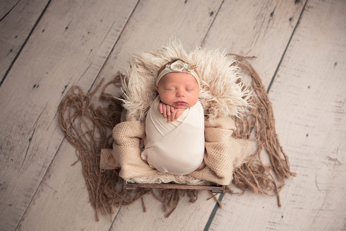 "Newborn Photographer Columbus Ohio"