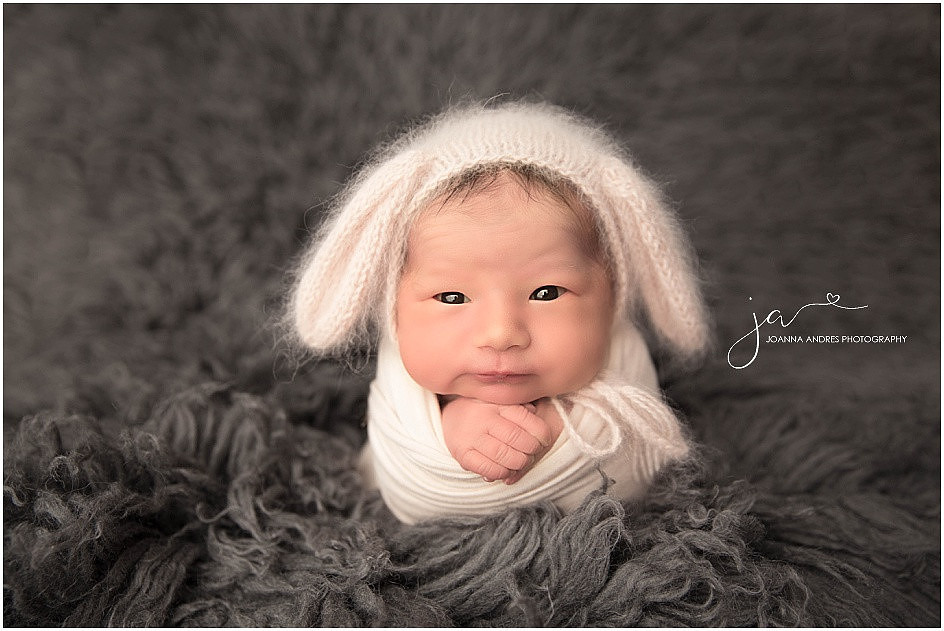 Newborn Girl Puppy