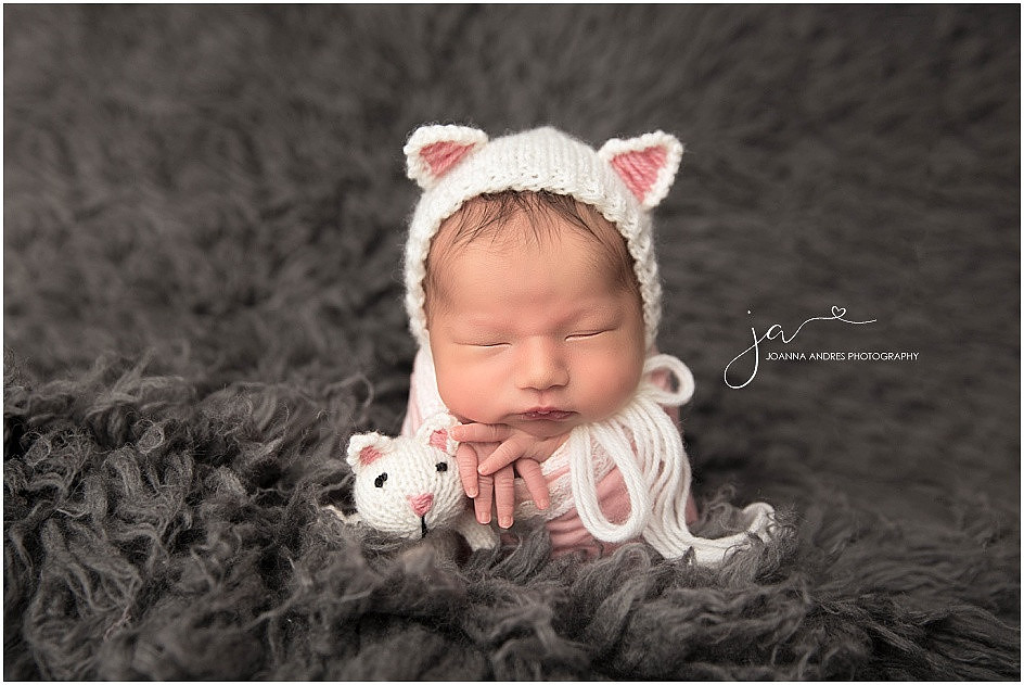 Newborn Girl Kitten