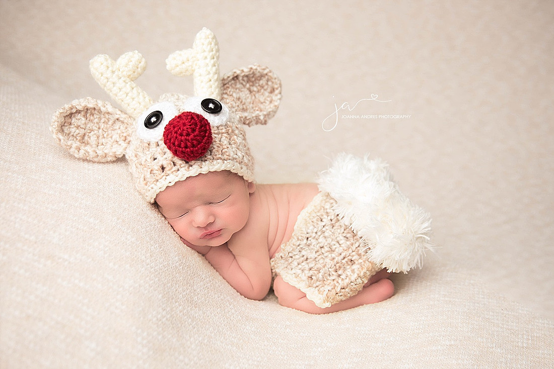 Newborn Reindeer