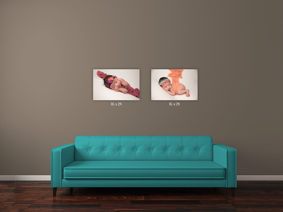 Photo of Great Room with 2 Canvases of Newborn Babies