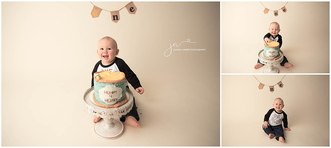 Winnie the Poo Themed Birthday Cake Smash