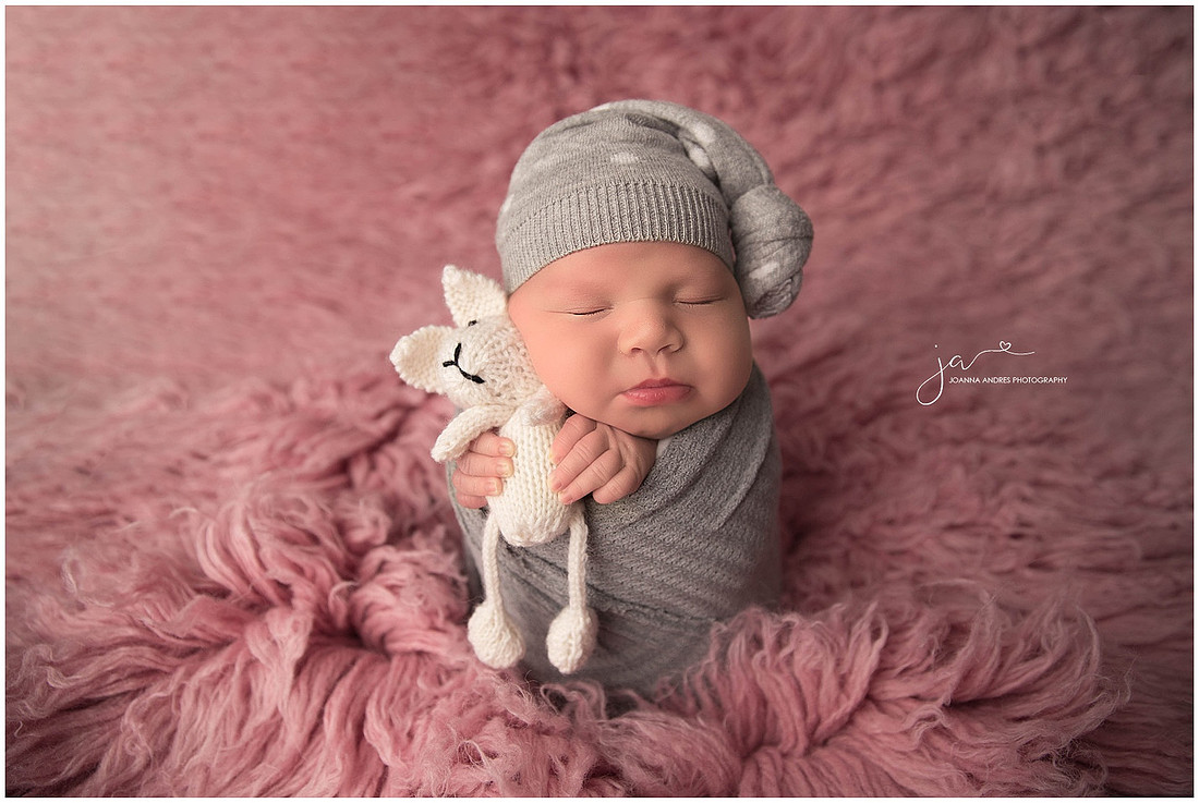 Newborn Baby Girl in Pinks and Grays holding Lovey