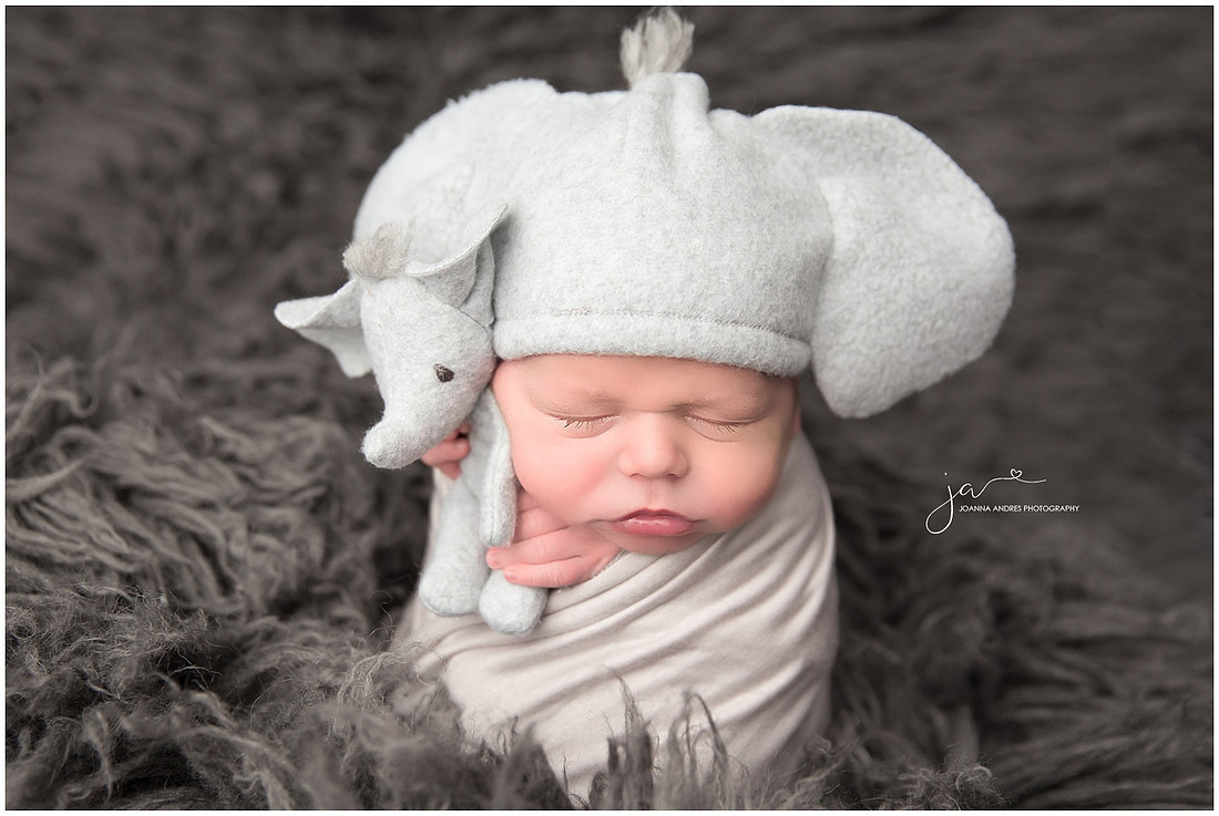 Newborn Baby Boy in Elephant Hat and Lovey