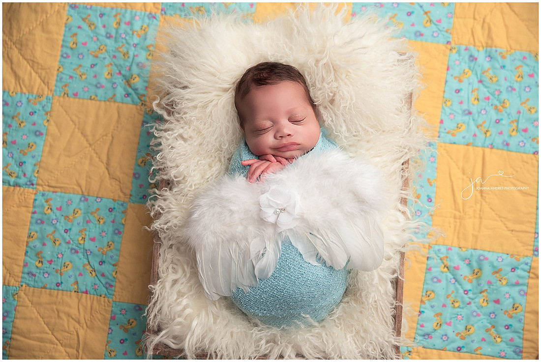 Baby Boy with Angel Wings on a Tweety Bird Blanket