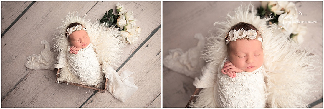 Baby Savannah Wrapped Shots in a baskets in white