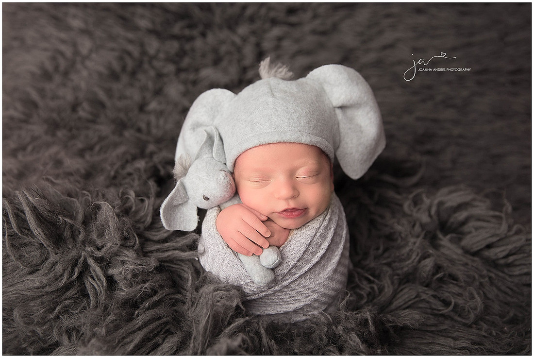 Baby Boy in Grays with Elephant Hat