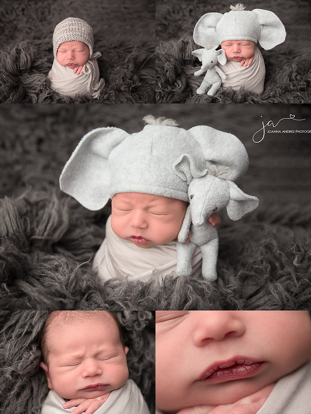 Newborn Baby Boy warpped in Grays with Elephant Lovey