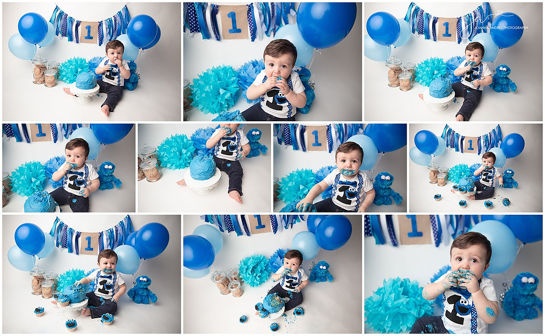 One Year Baby Boy Cake Smash Collage Cookie Monster Theme