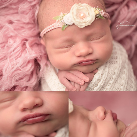 Macro SHots of NEwborn Baby Girl in nuetrals and pinks