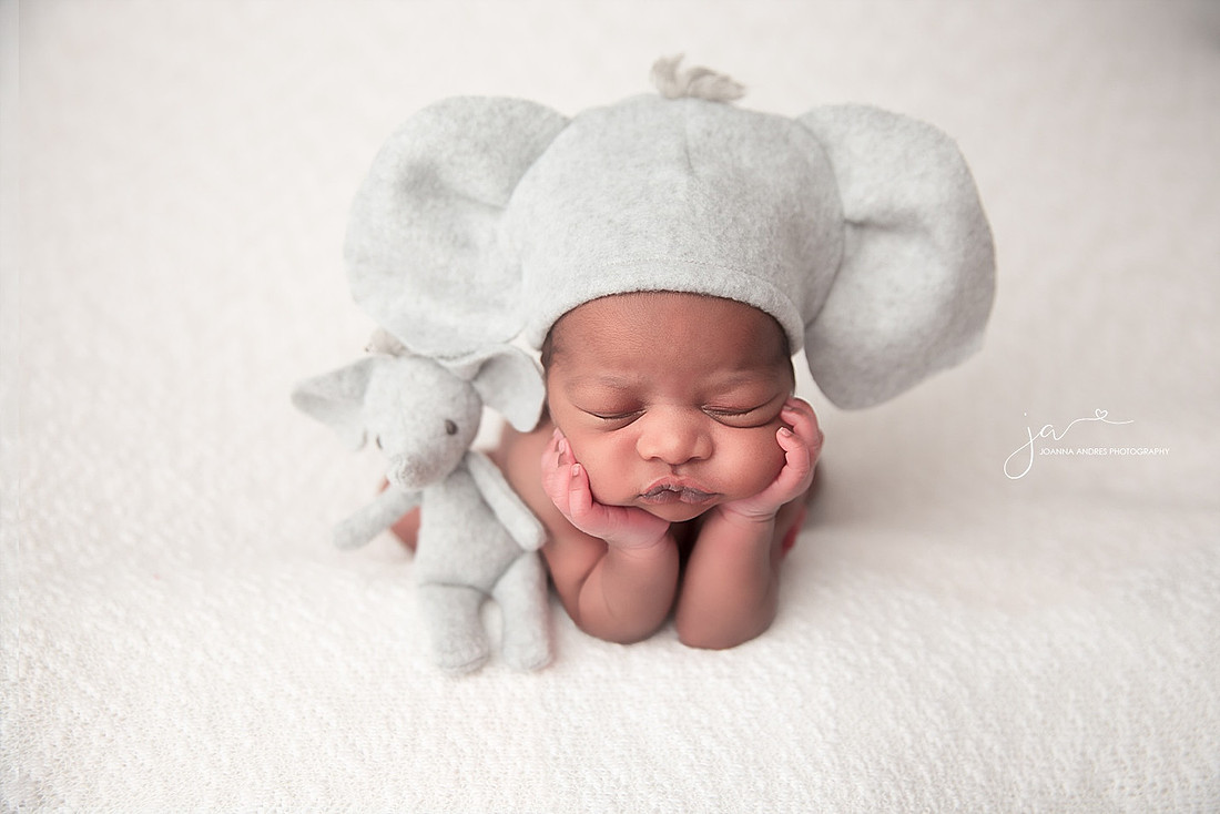 Newborn Baby Boy with Elephant Ears and Elephant Stuffie
