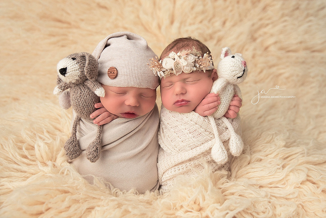 Twin Newborn Photographer Columbus Ohio Holding Loveys