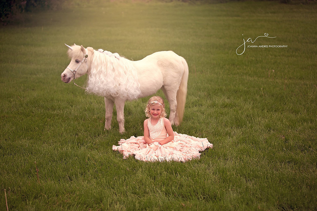 Little Girl in Pink Dress with Unicorn