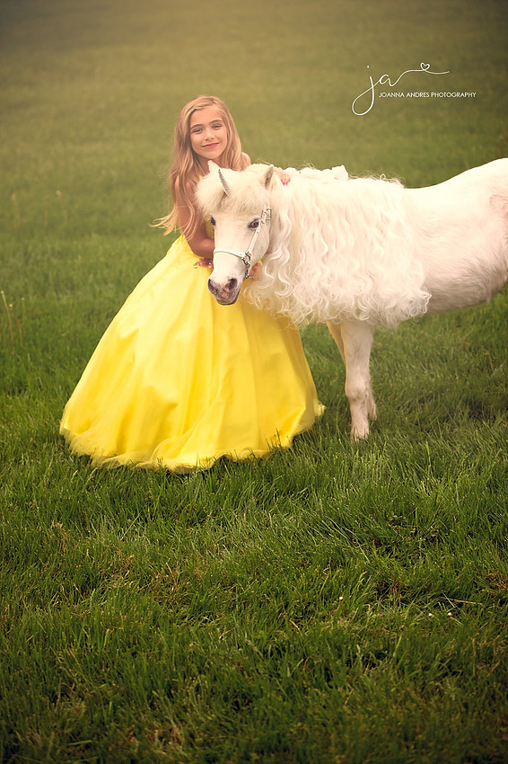 Girl and a unicorn