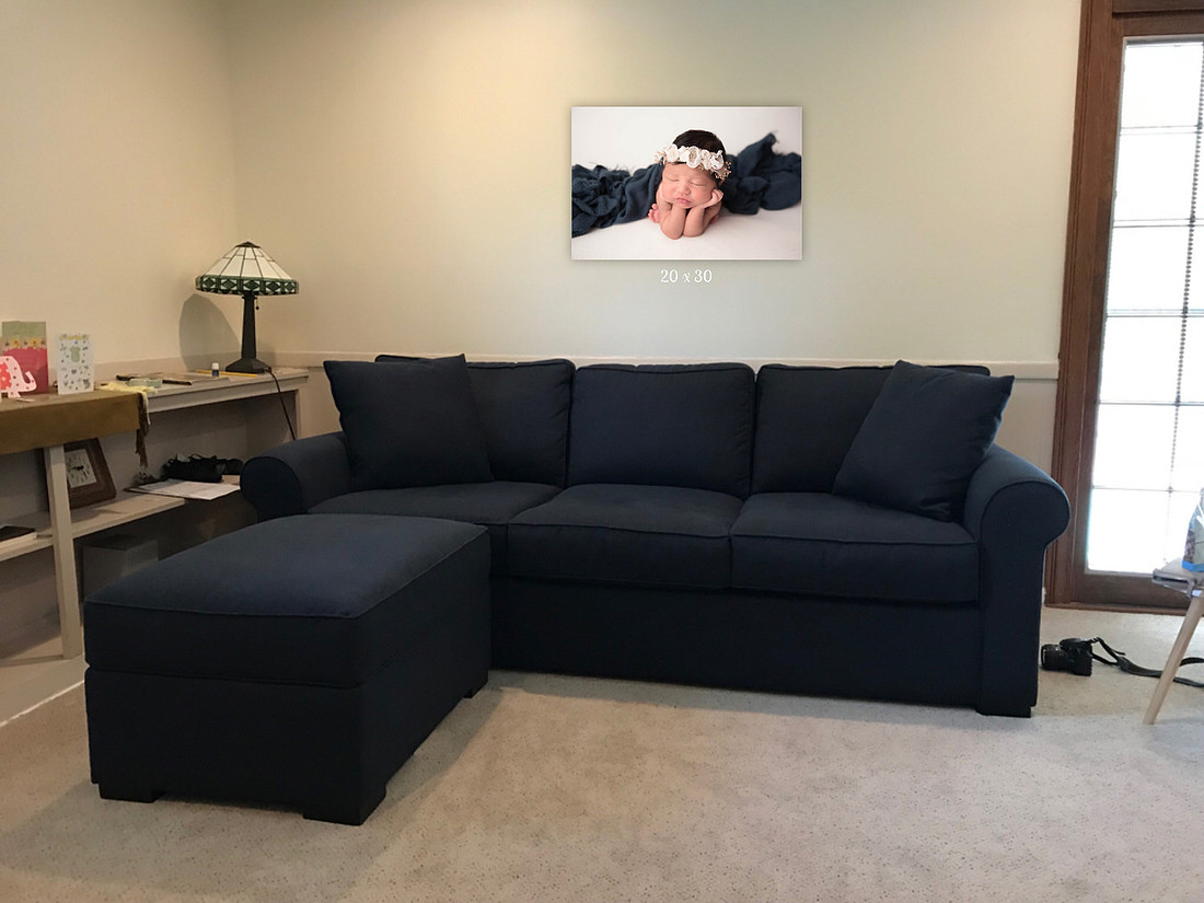 Couch with Canvas Photo and Measurements