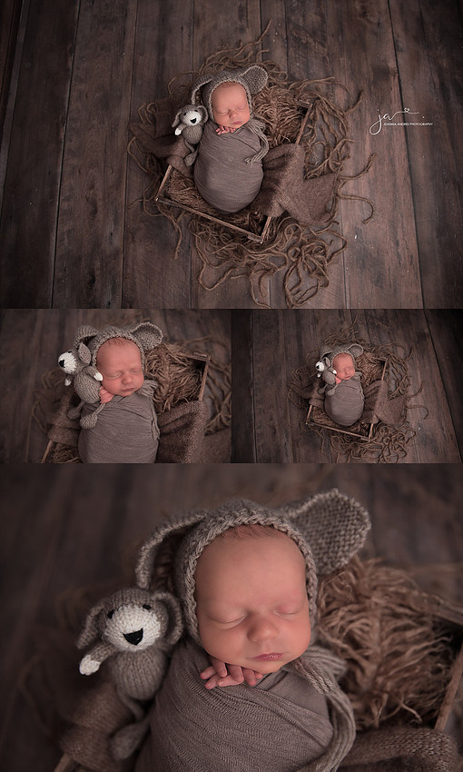 Collage of Baby with Browns and Puppy Lovey