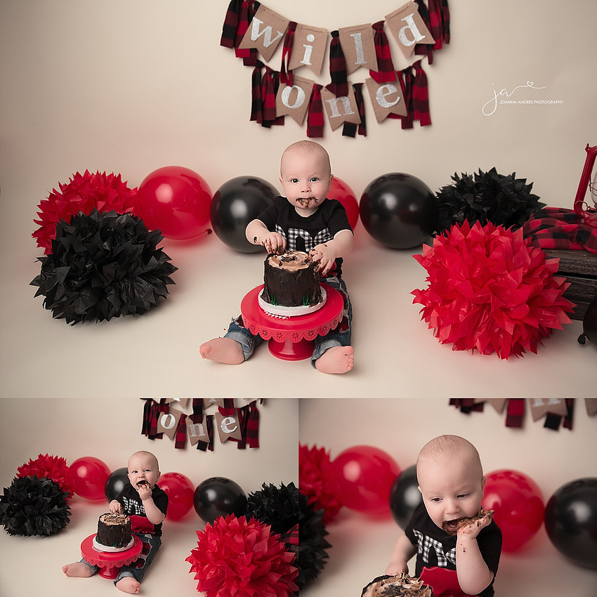 Wild One Cake Smash Photographer