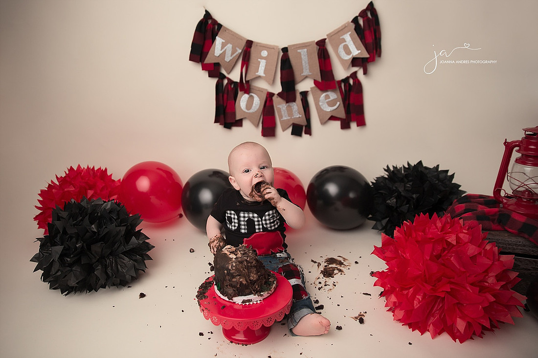 Wild One THemed Cake Smash