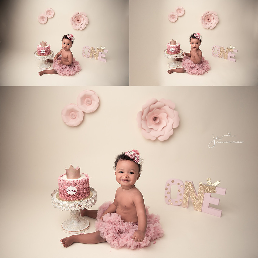 One YEar Birthday Baby Girl in Pinks and Muaves