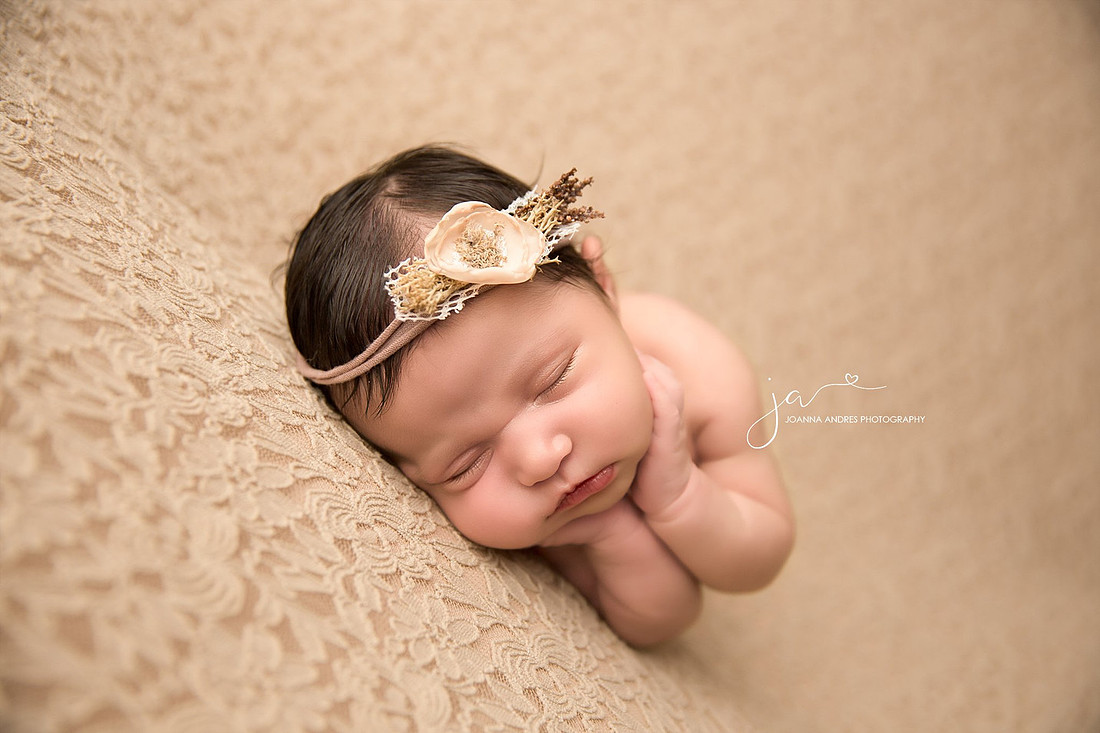 Timber Pose in Neutrals