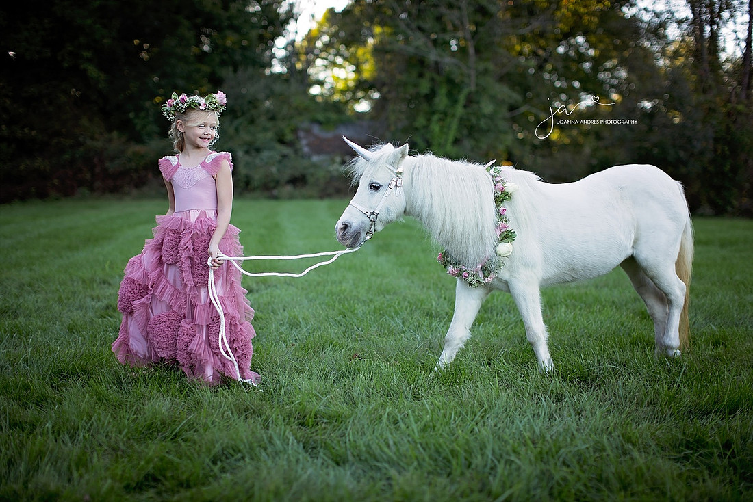 Girl Pulling on Unicorn