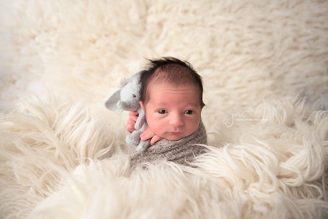 Baby Boy holding elephant lovey